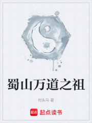 《武当派弟子》封面