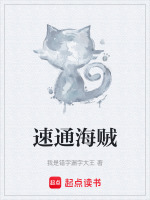 速通海贼完本感言