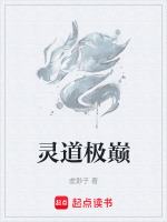 灵道极巅