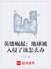 《灰域协议》封面