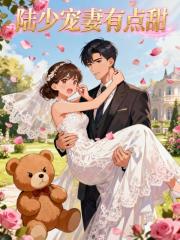 陆少宠妻有点甜