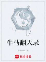 《牛马翻天录》封面