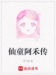 《仙童阿禾传》封面