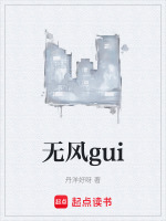 无风gui