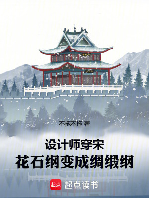 《设计师穿宋：花石纲变成绸缎纲》封面