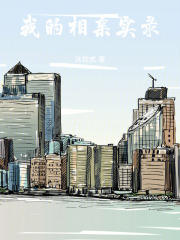《我的相亲实录》封面