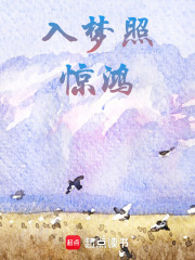 《入梦照惊鸿》封面