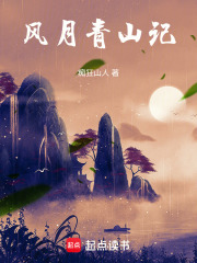 《风月青山江湖记》封面