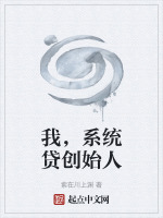 我，系统贷创始人