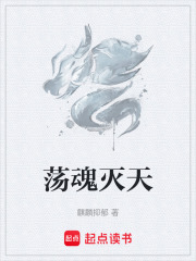 《荡魂灭天》封面