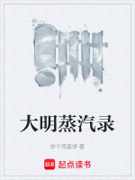 大明蒸汽录