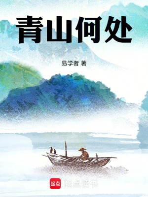 《青山何处》封面