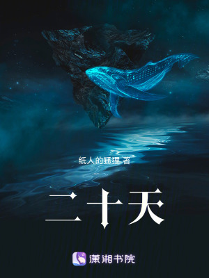 《二十天》封面