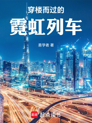 《穿楼而过的霓虹列车》封面