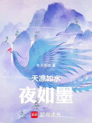 《天凉如水夜如墨》封面