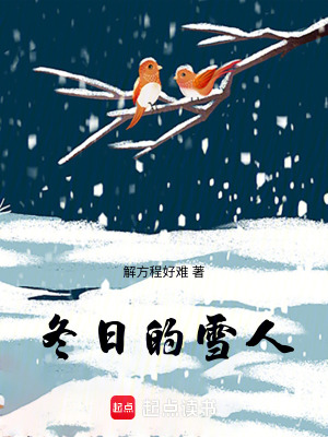 《冬日的雪人》封面