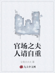 官场之夫人请自重正版全文