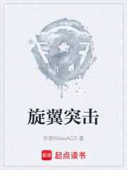 《旋翼突击》封面