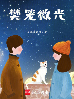 《樊笼微光》封面