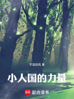小人国的力量