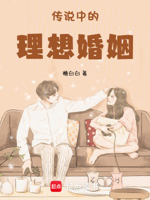 《传说中的理想婚姻》封面