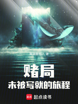 《赌局，未被写就的旅程》封面