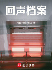 《回声档案》封面