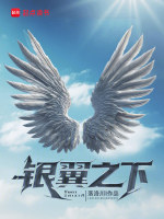 银翼之下