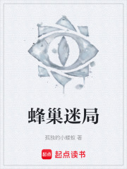 《蜂巢迷局》封面