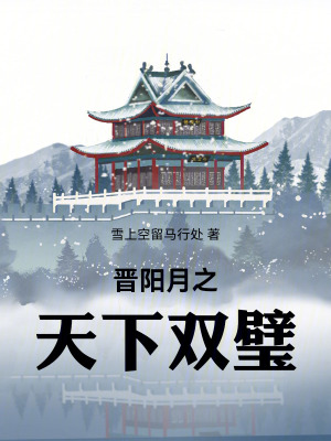 《晋阳月之天下双璧》封面