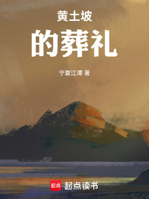 《黄土坡的葬礼》封面