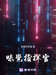 《味觉指挥官》封面