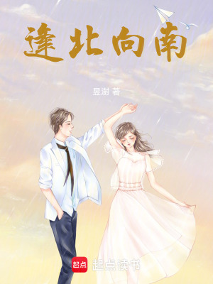 《逢北向南》封面