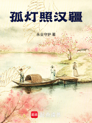 《孤灯照汉疆》封面