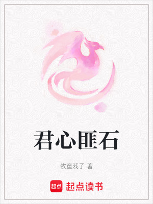 《君心匪石》封面
