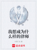 我想成为什么样的律师