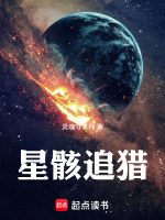 星骸追猎星核终局