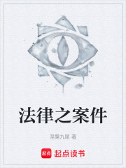 《法律之案件》封面