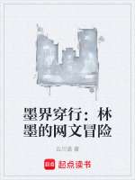 墨界穿行：林墨的网文冒险