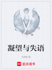 《凝望与失语》封面