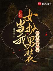 红楼：当我女扮男装成了林家继子