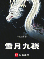 雪月九骁