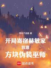 开局寄宿赫敏家我靠方块伪装巫师