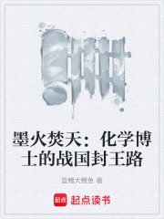 《墨火焚天：化学博士的战国封王路》封面