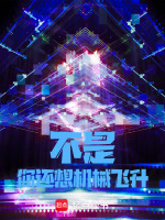 机械飞升结局