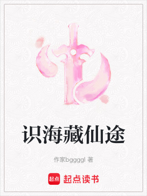 《识海藏仙途》封面