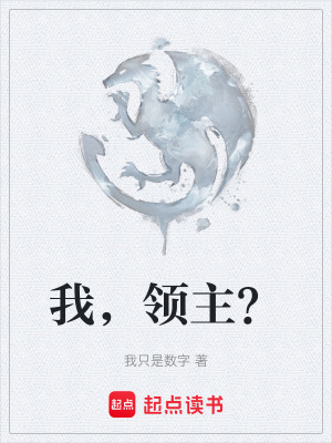 《我，领主？》封面