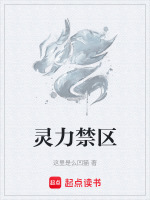 灵力即认知权限