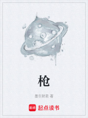《枪》封面