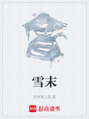 《雪末》封面